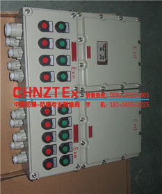 Bxq系列防爆電磁起動配電箱與工業插頭的應用與優勢